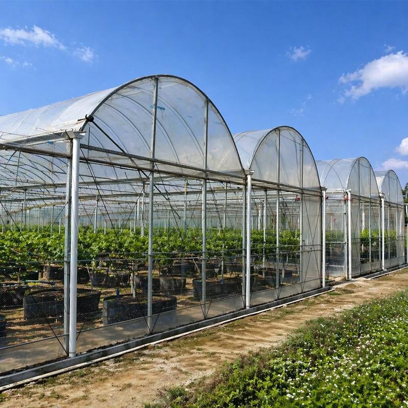 Tamaños estándar de los invernaderos para la agricultura comercial: desde pequeños túneles hasta invernaderos de varios tramos