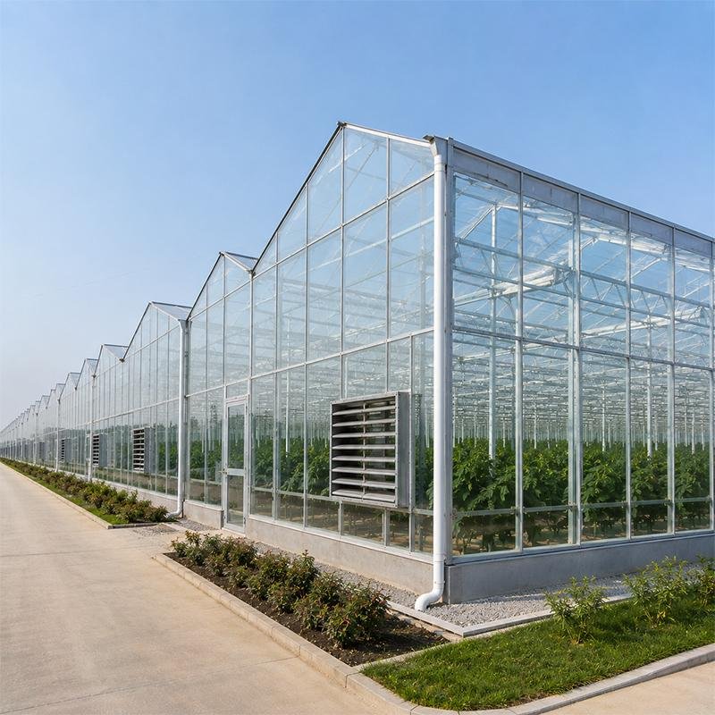 Industrial Greenhouse vs Traditional Greenhouse: Which Is Better for Growers?