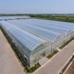 Commercial multi span greenhouse with ventilation system