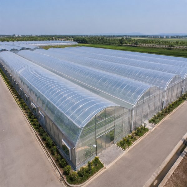 Commercial multi span greenhouse with ventilation system