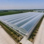 Multi span tunnel greenhouse for vegetables