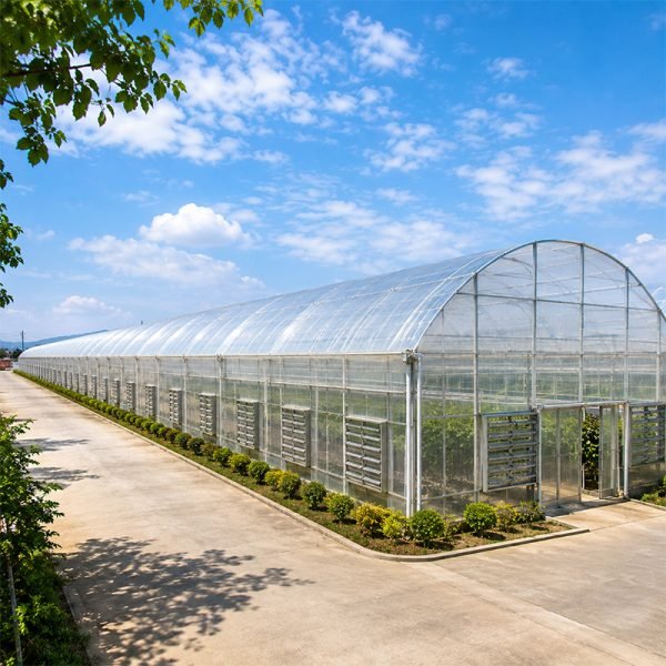 Commercial vegetable production greenhouse facility