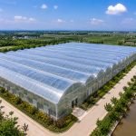 Large scale plastic film greenhouse