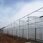 Multi span sawtooth greenhouse for commercial farming