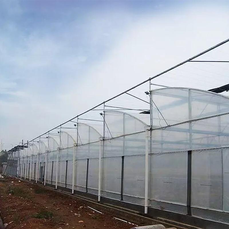 Premium Multi Span Sawtooth Greenhouse for Commercial Farming