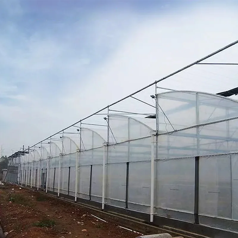 Invernadero «Sawtooth» Premium de múltiples tramos para la agricultura comercial