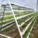 Smart vertical NFT hydroponic system with nutrient circulation control