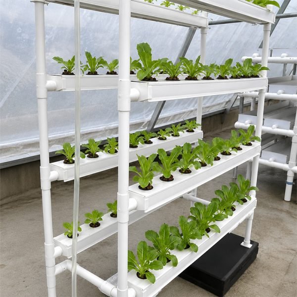 Commercial vertical NFT hydroponic system for greenhouse farming