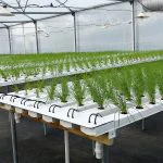 Space saving vertical NFT hydroponic system for urban agriculture