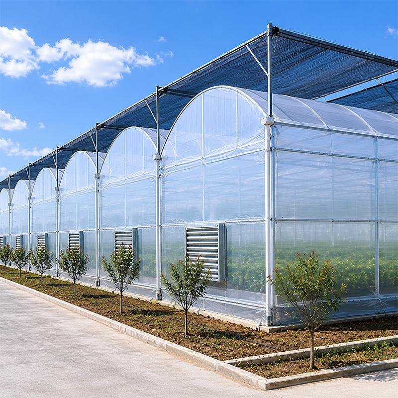 Invernadero de plástico de varios tramos para el cultivo