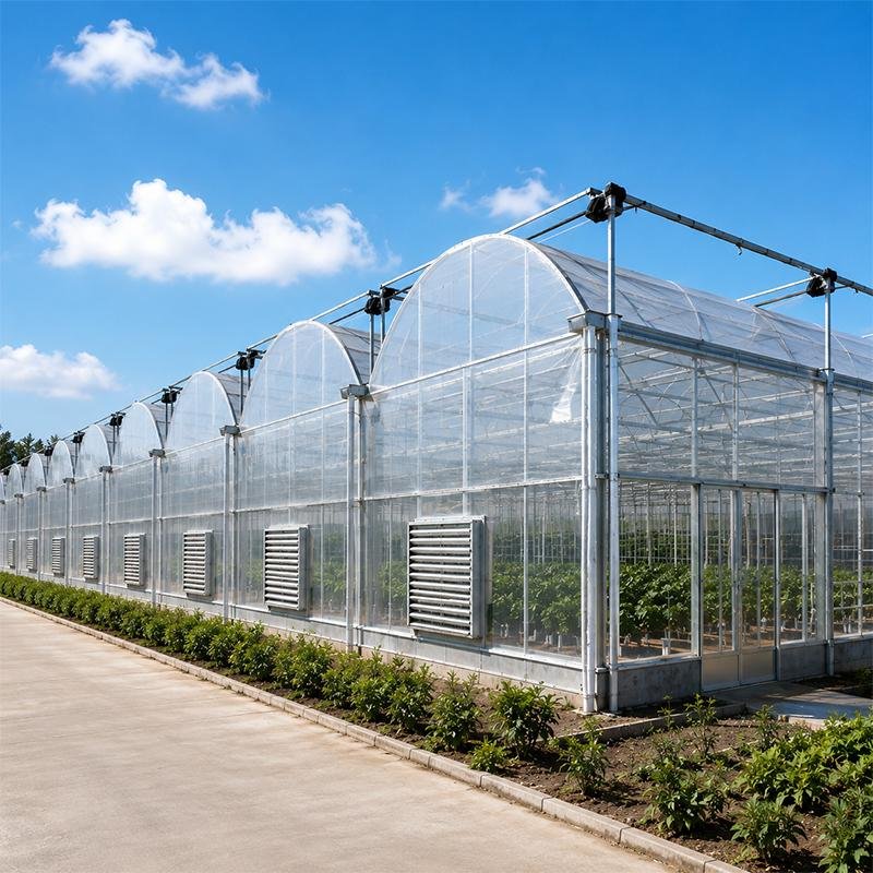 Invernadero de plástico de varios tramos para proyectos de agricultura comercial