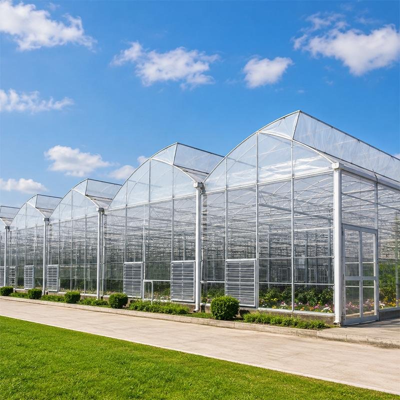 Large Multi-Span Sawtooth Greenhouse for Commercial Crop Cultivation