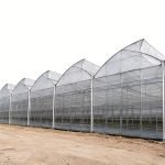 Multi span sawtooth greenhouse for commercial farming