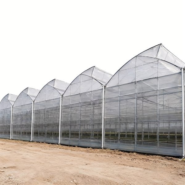 Multi span sawtooth greenhouse for commercial farming