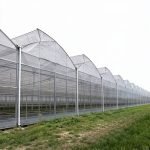 Commercial multi span sawtooth greenhouse for vegetables