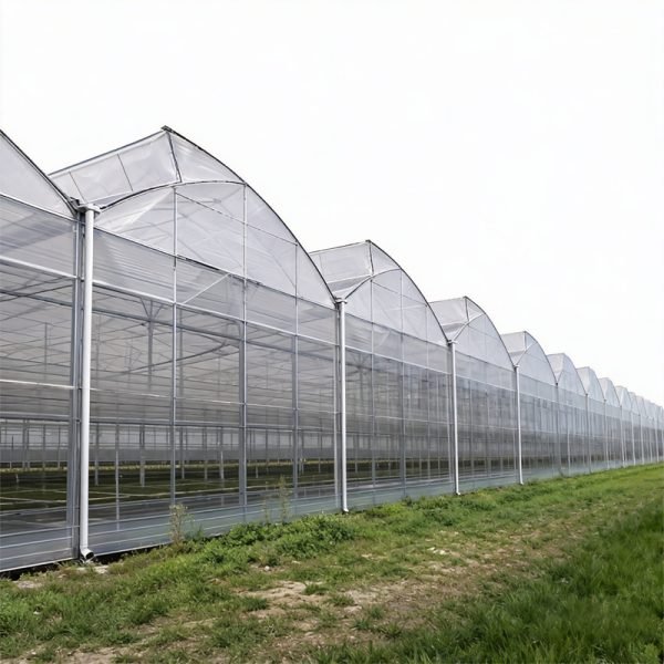 Commercial multi span sawtooth greenhouse for vegetables