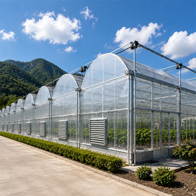 Choosing the Right Commercial Greenhouse Structure for Your Farm
