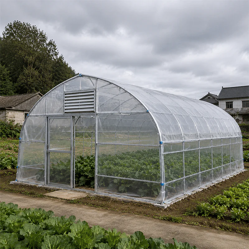 Plastic film greenhouse for year round crop cultivation