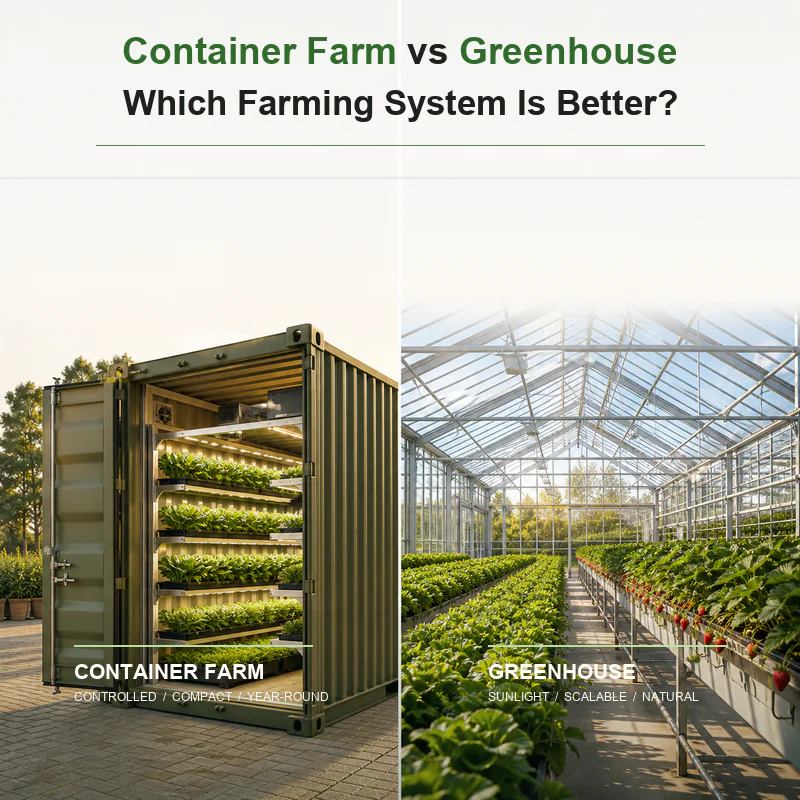 Container Farm vs Greenhouse: Which Farming System Is Better?