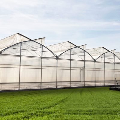 Top 10 Benefits of Using a Plastic Film Greenhouse for Farming