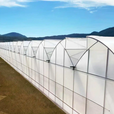 How Roof Ventilation Works in a Sawtooth Greenhouse
