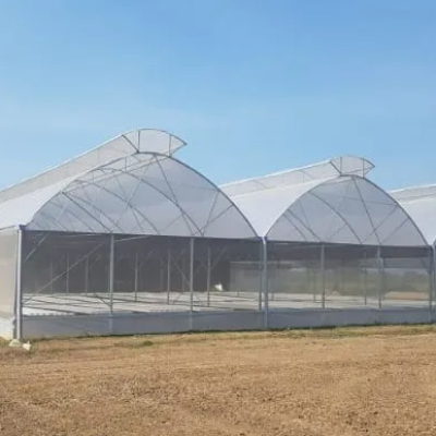 Sawtooth Greenhouse: Maximizing Natural Light in Tropical Zones