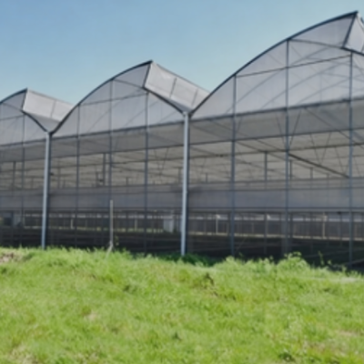 Sawtooth Greenhouse: Maximizing Natural Light in Tropical Zones