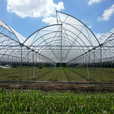Is a Sawtooth Greenhouse Worth It for Commercial Farming Projects?