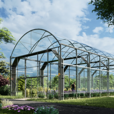 জিচ্যাং তিয়ানসি ফ্লাওয়ার