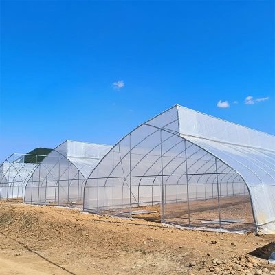 What You Didn’t Know About Sawtooth Greenhouses