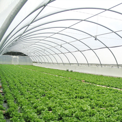 What is the difference between single span greenhouses and multi span greenhouses?