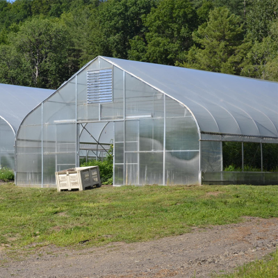 What Is a Single Span Film Sawtooth Greenhouse and How Does It Work?