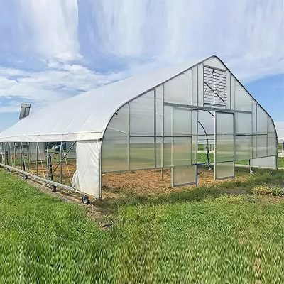 Single Span Tunnel Greenhouse