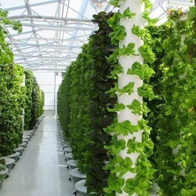 Hydroponic Towers: The Smart Vertical Farming Solution for Modern Growers